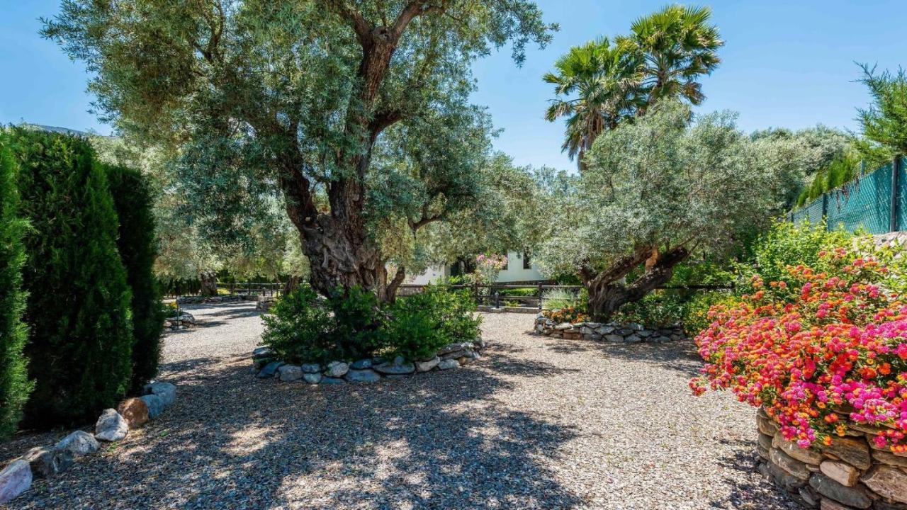 Nuestra Finca Rural Orgiva By Ruralidays Eksteriør bilde